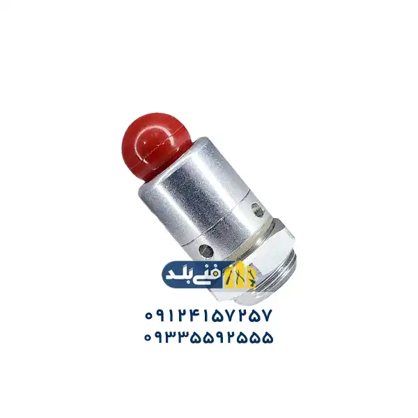 سوپاپ اطمینان زودپز - قطعه یدکی برای رفع مشکل سوت نکشیدن زودپز فنی بلد